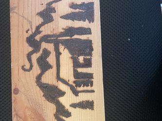 woodburned house