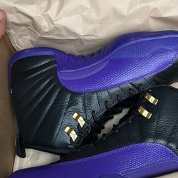 Jordan 12s Brand New 