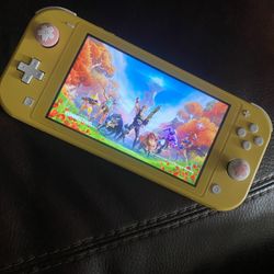 Nintendo Switch Lite