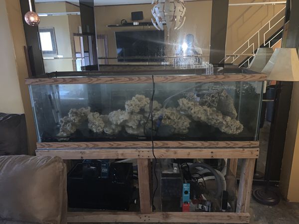6 foot reptile tank with stand for Sale in Philadelphia, PA - OfferUp