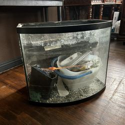 36 Gallon Fish Tank 