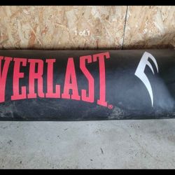 Large Punching Bag