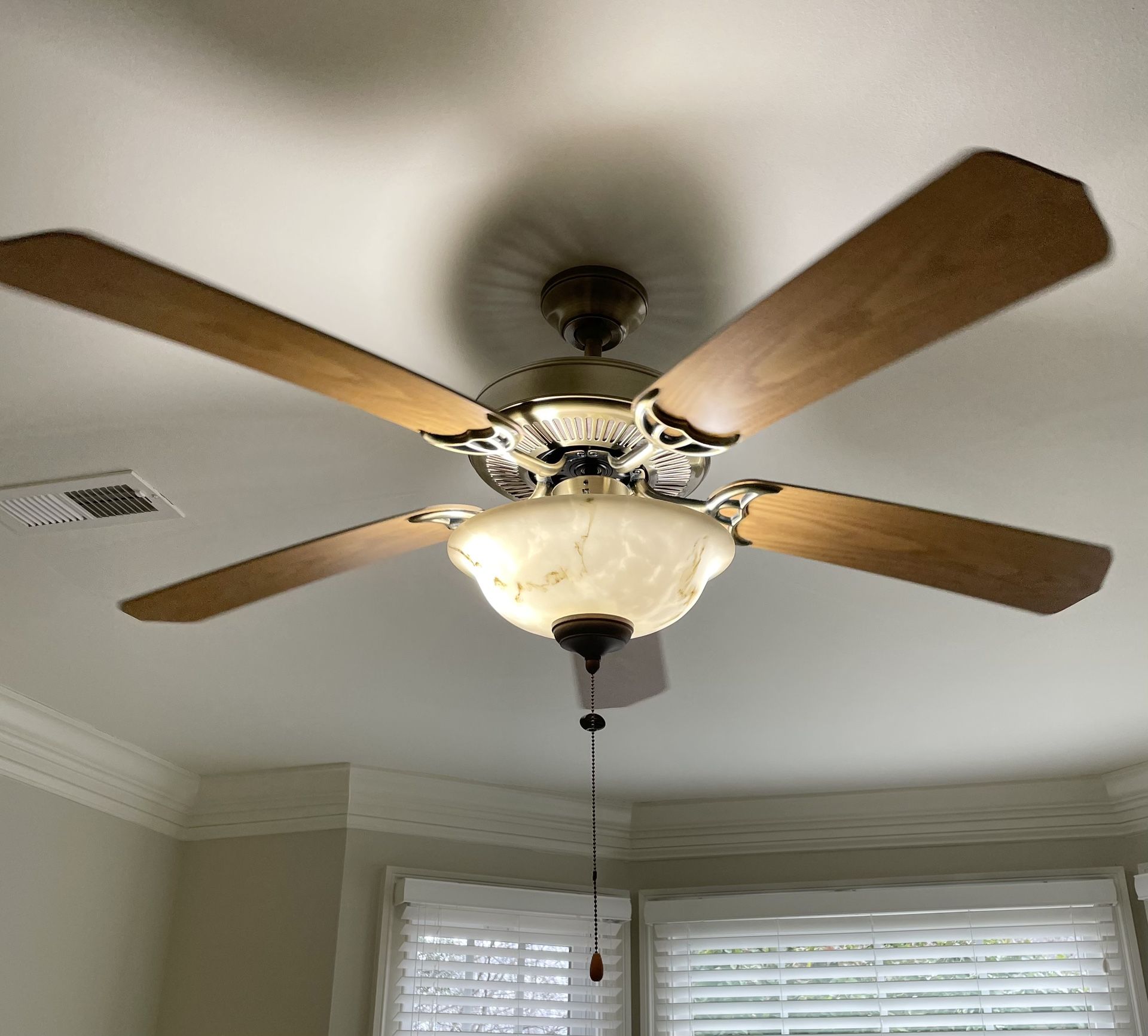 Ceiling Fan with Light