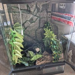 Reptile Cage