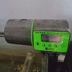 Aquarium and Automatic Feeder