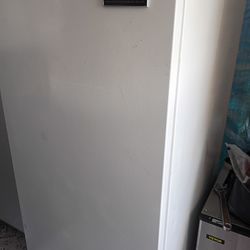 Stand up freezer gibson