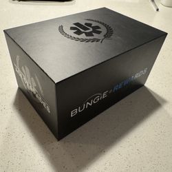 Bungie Collectible The Ace Of Spades 