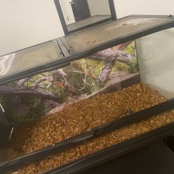 40 Gallon Tank And Stand