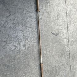 Olympic Size Barbells and the bench 