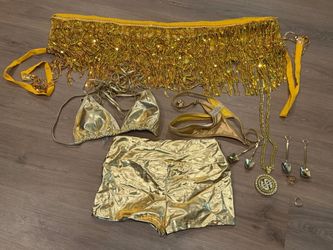Women’s “Gold Digger” Halloween Costume – Size Small