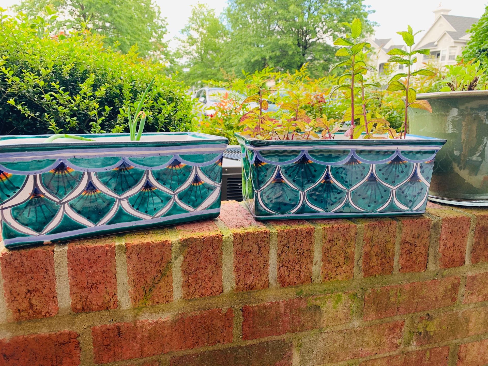 Mexican hand painted planters cold and snow resistant