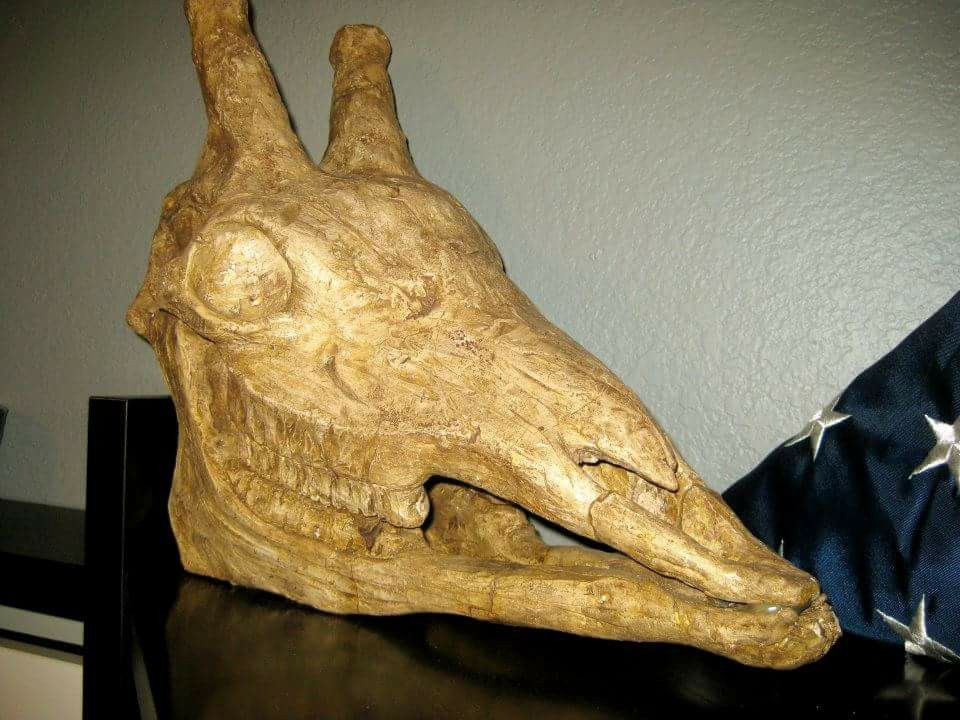 Giraffe skull sculpture.