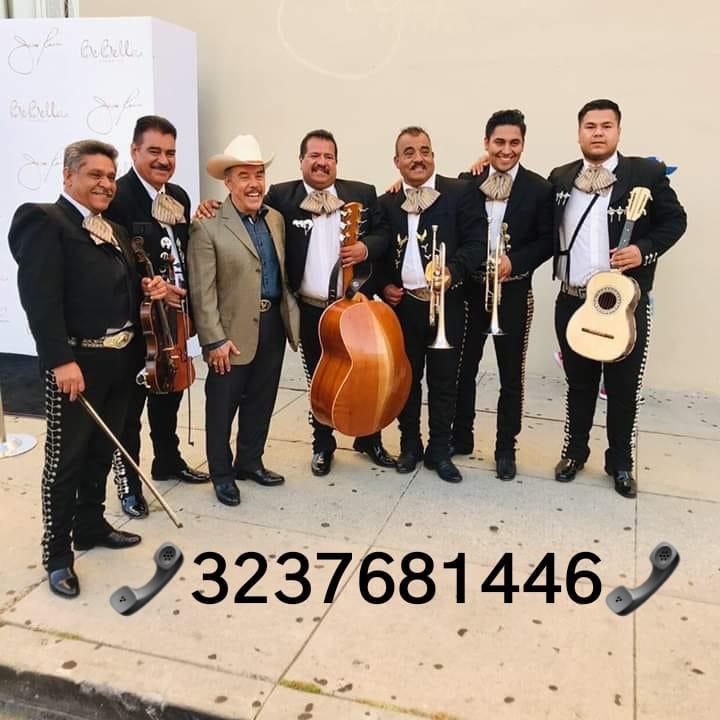 Vihuela Violín Mariachi
