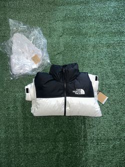 TNF / The North Face Puffer 700 Nuptse