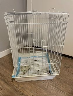 Bird Cage
