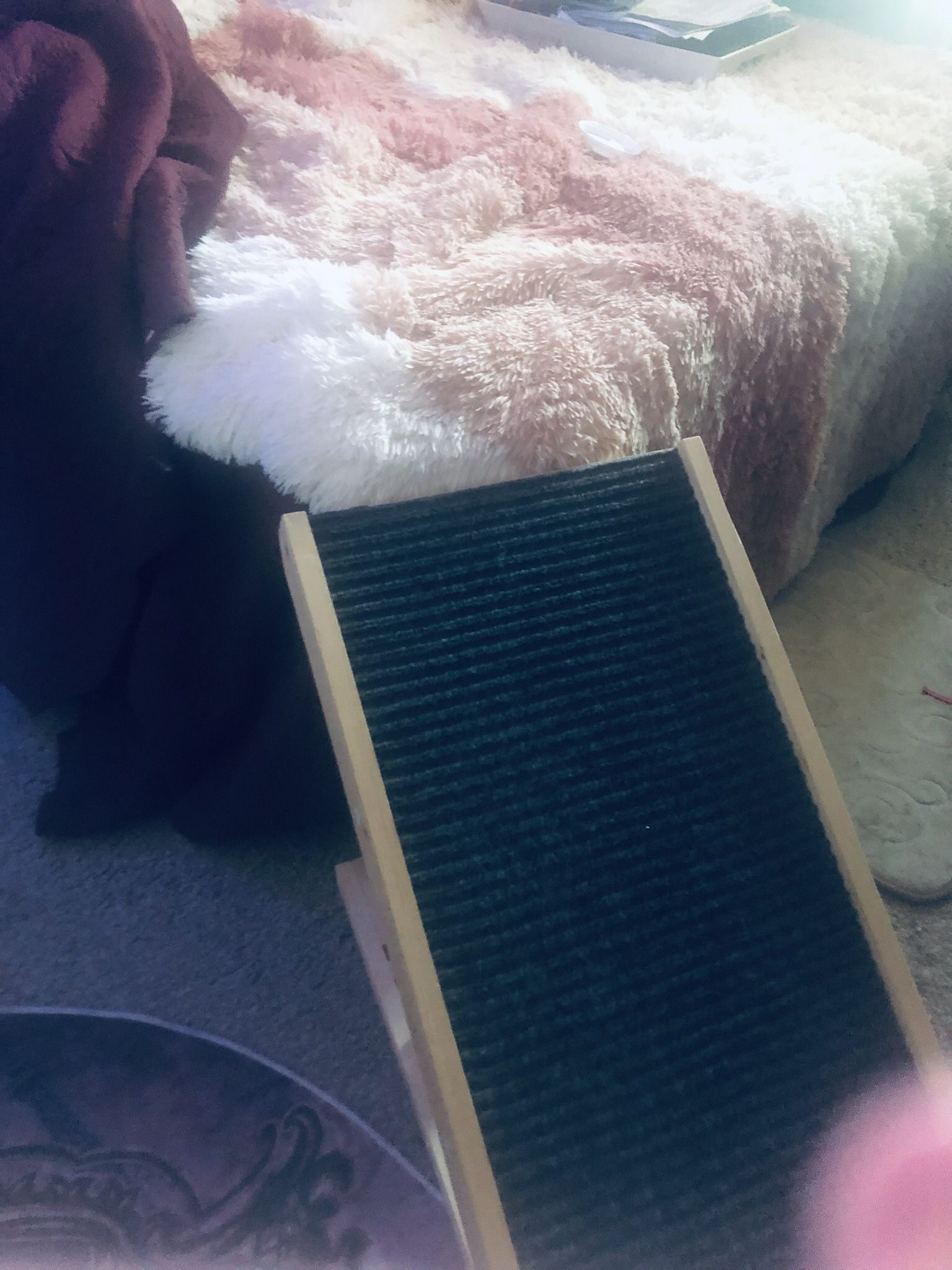 Pet Ramp - Three height levels/carpeted