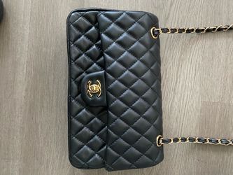 BRAND NEW CHANEL PURSE / TOTE BAG
