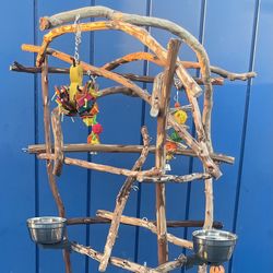 Parrot Perch Tree…. Breeder Direct Custom Trees… AAA+ Quality … Low Wholesale Price !! ✅