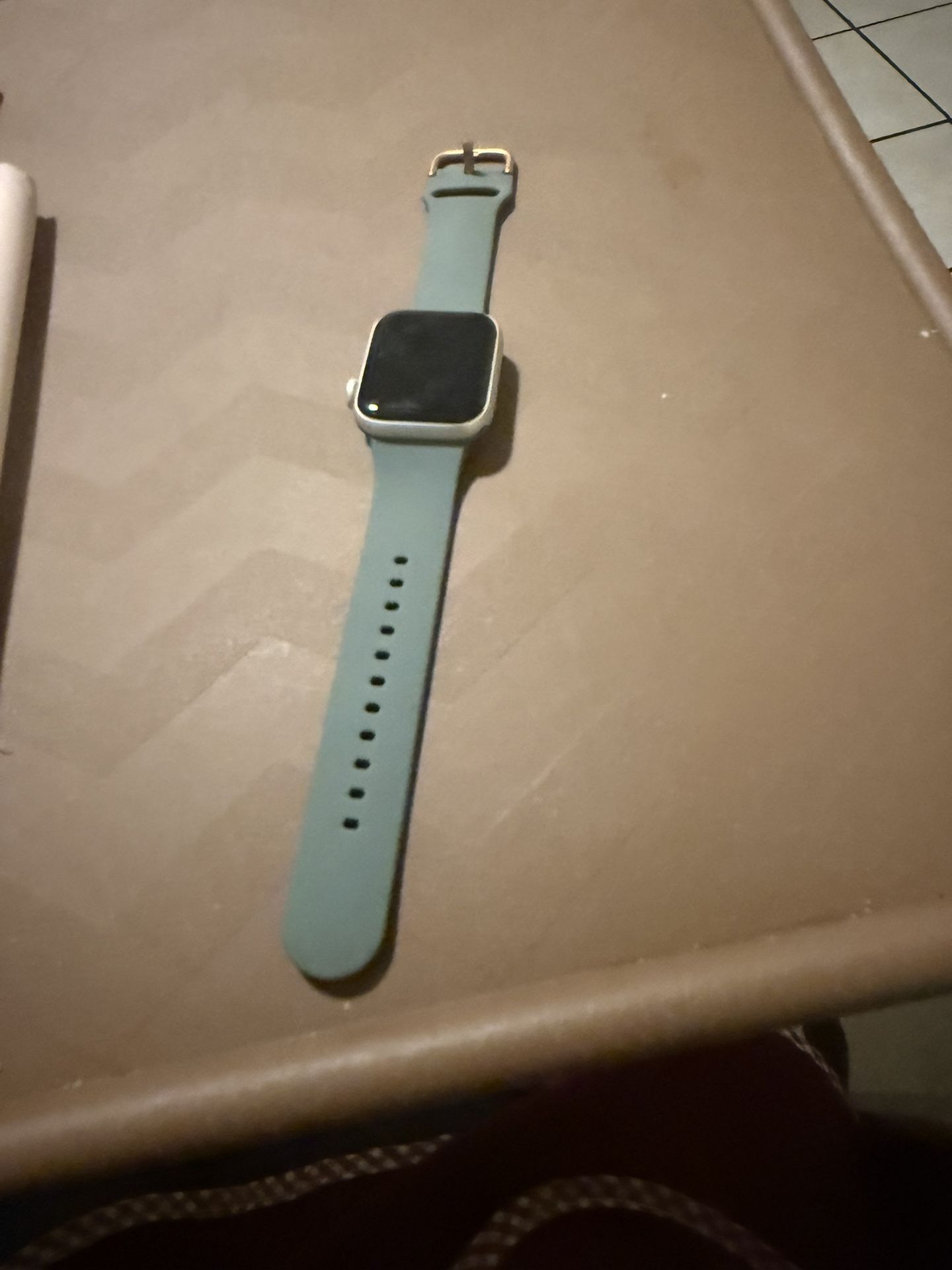 Apple Watch SE Gray