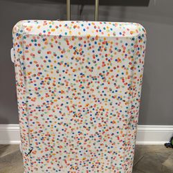 Calpak Large Luggage