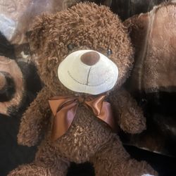 Teddy bear(Bio)
