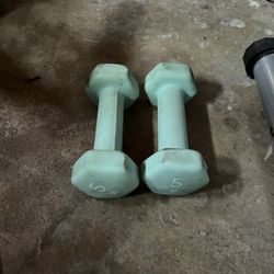FREE 5lb Dumbbells 