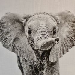 Canvas elephant like new $25