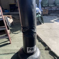 Standing Punching Bag   Pbs Brand 
