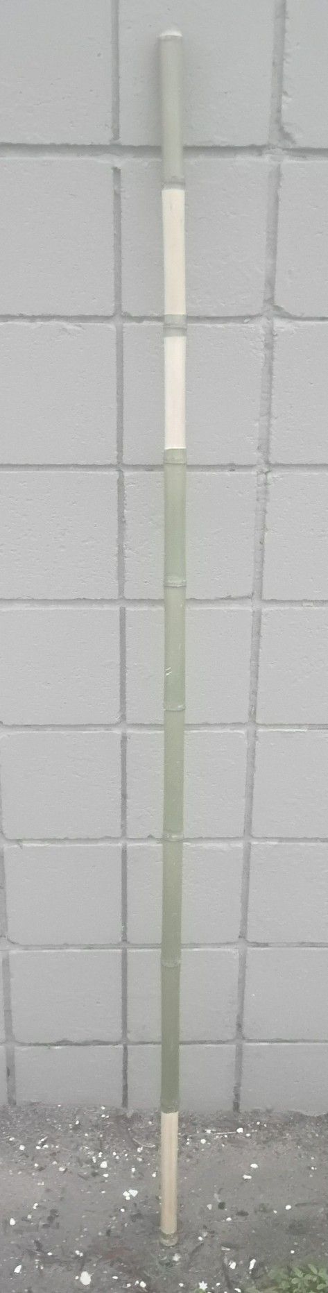 Bamboo Walking Stick