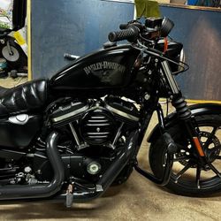 Harley 48 Sportster 883 Or 1200
