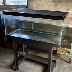 Glass Aquarium Tank