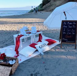Picnic Setup