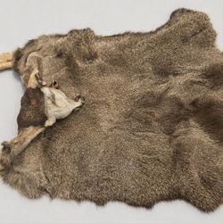 3 Dry Tanned Deer Capes Taxidermy Oddity 