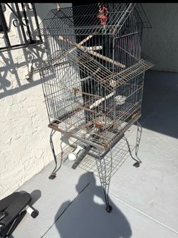 Bird Cage