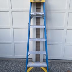 Werner 6 Foot Fiberglass Ladder