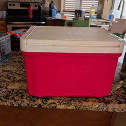 Igloo ice box
