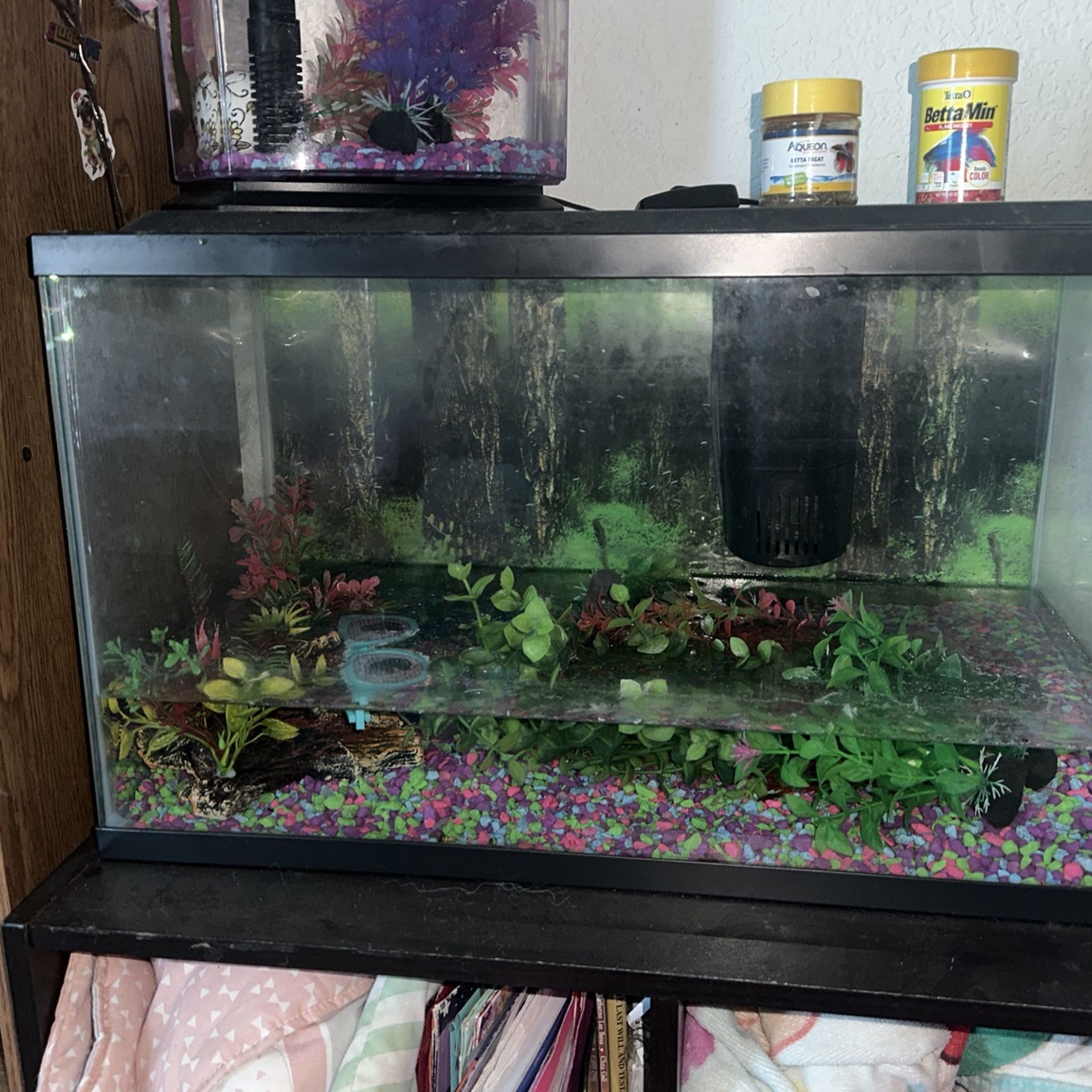 Fish Tank