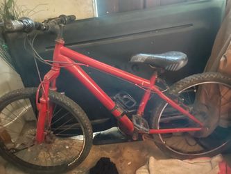 Mtn bike size 24