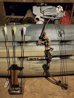 Hoyt Compound Bow