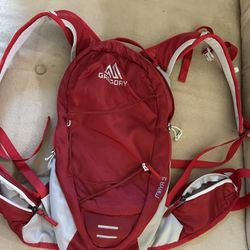 Gregory Biking Backpack 