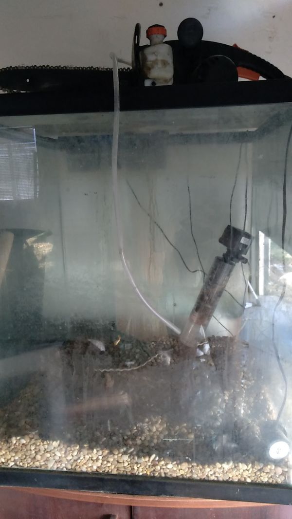 80 gallon fish tank with stand for Sale in Lancaster, CA