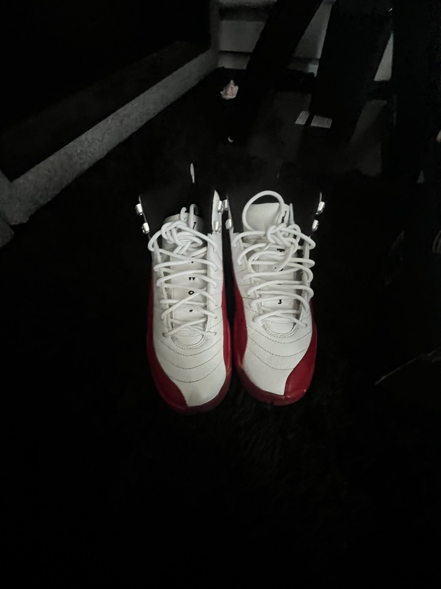 Jordan Cherry 12s (used)