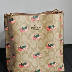 Coach mollie Bucket Purse 