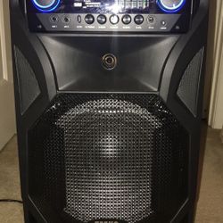 Portable Bluetooth PA Speaker with Wireless microphone