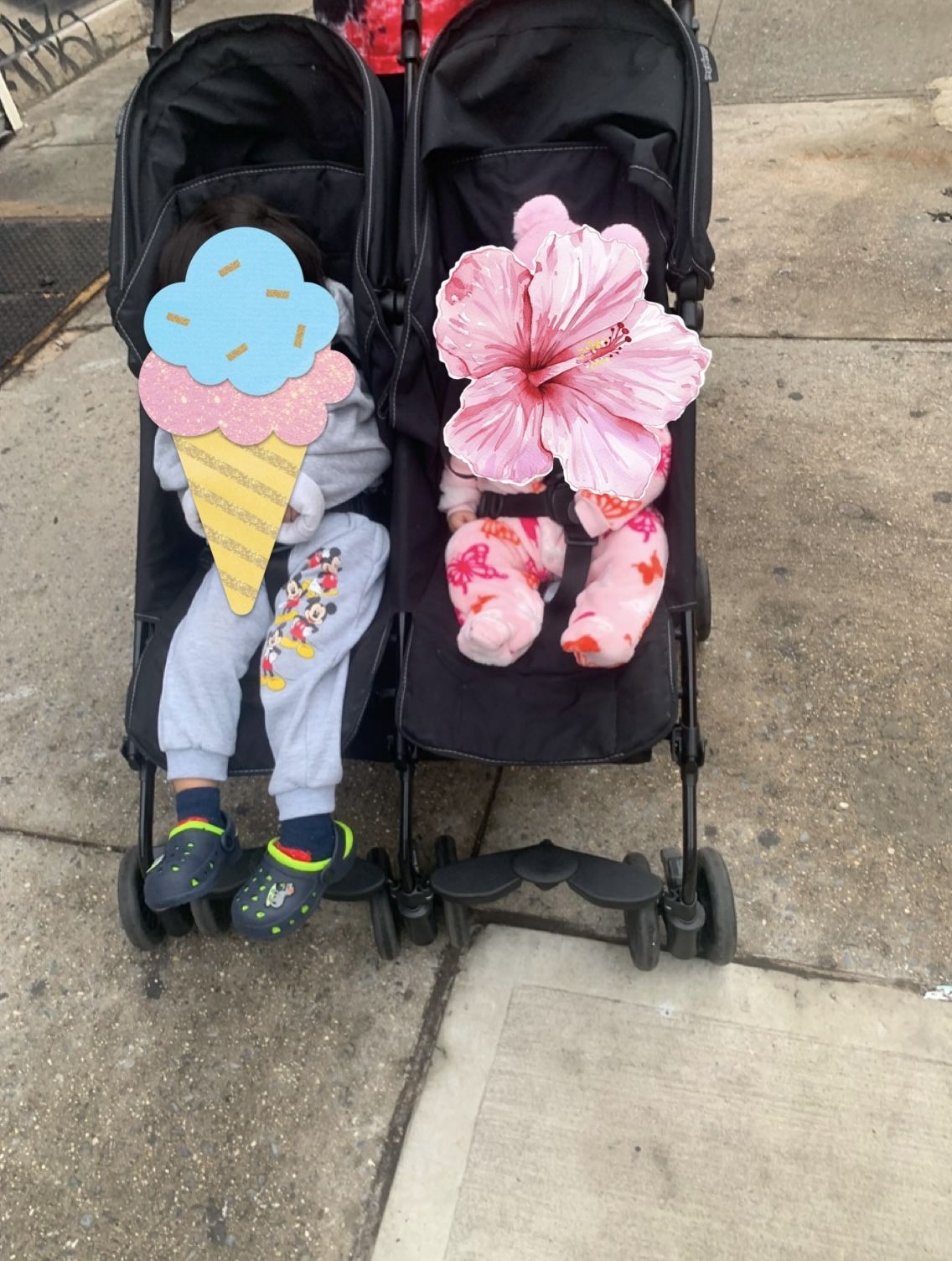 Double Stroller