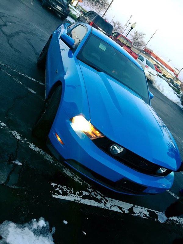 2010 Ford Mustang