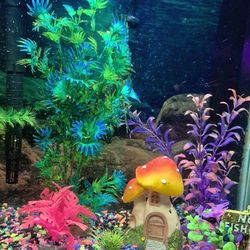 Gnomeo Themed 🌻 Aquarium kit w Stand. Pecera completa 20 Gal con Base y accessorios.