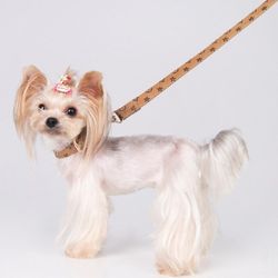 Fashion Pet Leashes & Collar (for Small Dogs As Pictured)