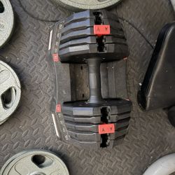 Weider Adjustable Dumbbell Weight Set