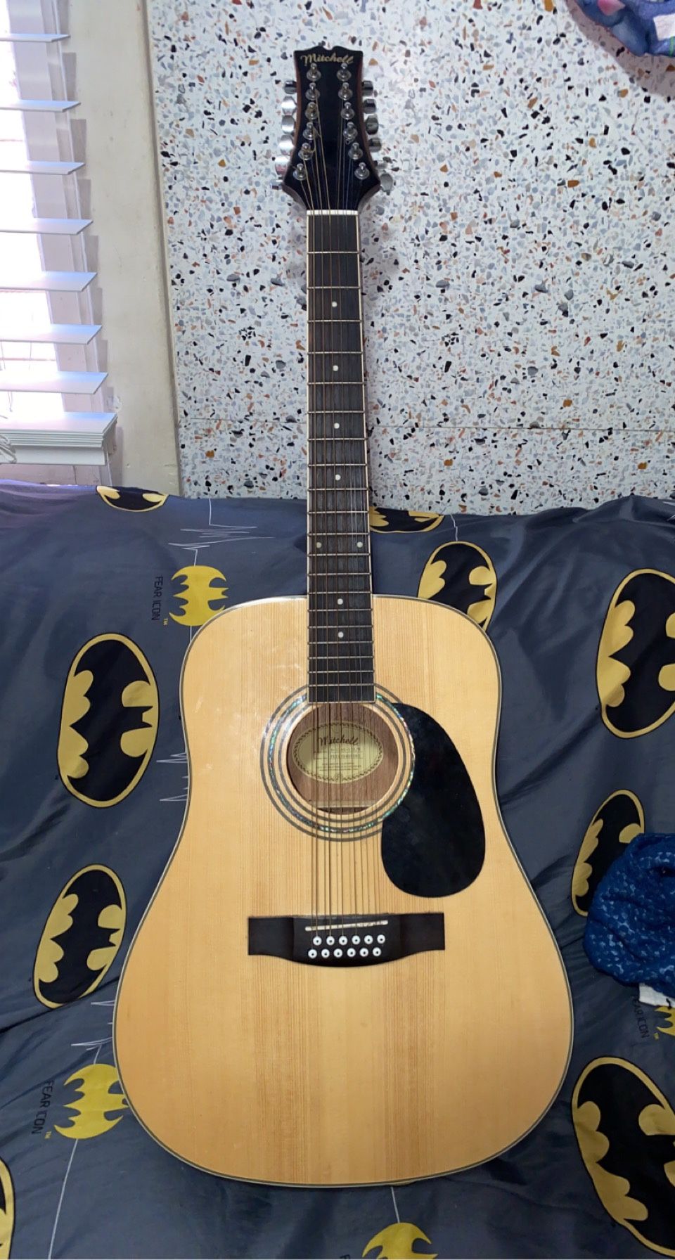 12 String Acoustic Guitar
